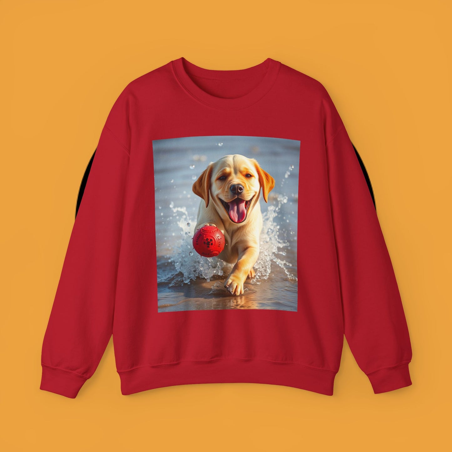 Unisex Dog Lover Crewneck Sweatshirt Labrador Puppy Playing with a Ball on the Beach - Photo of a Happy Dog Running in the Water
