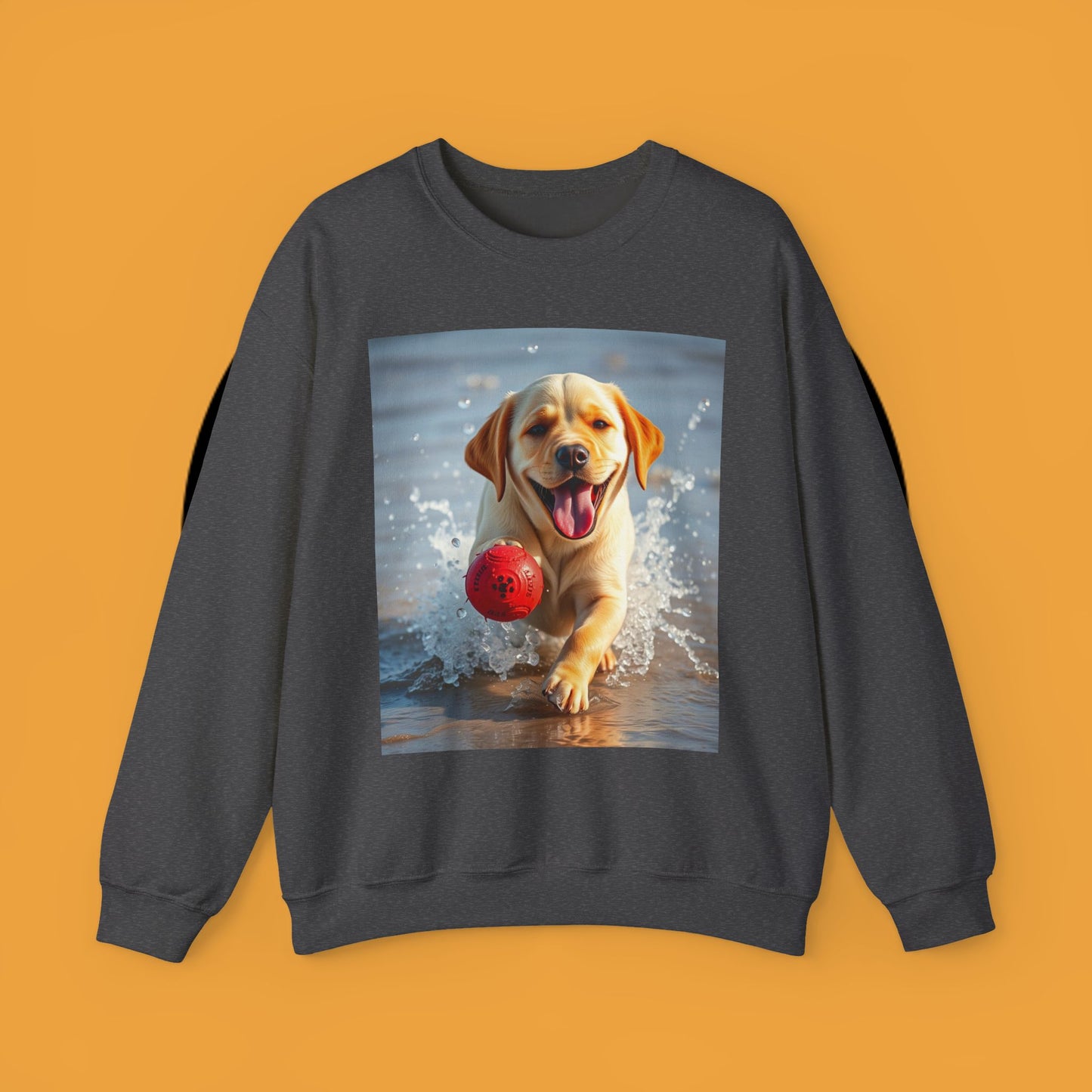 Unisex Dog Lover Crewneck Sweatshirt Labrador Puppy Playing with a Ball on the Beach - Photo of a Happy Dog Running in the Water
