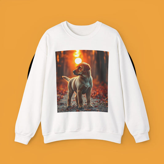 Crewneck Sweatshirt - Labrador Puppy in Autumn Forest with Golden Sunset Light Design